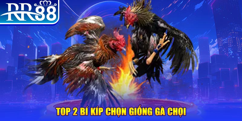 hello888 đăng nhập roulette dễ thắng