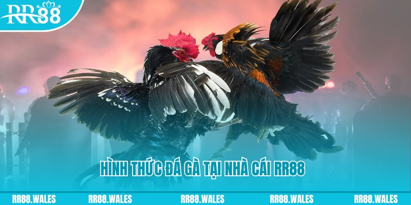 hello888 PS Điện Tử