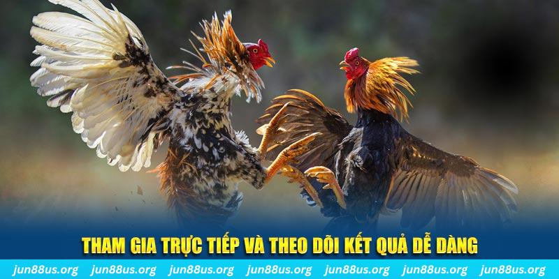 hello888 đá gà trực tiếp bình luận viên