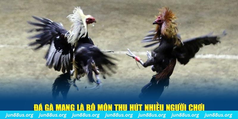 hello888 xổ số cà mau
