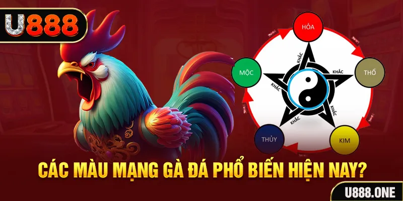 hello888 đăng nhập mậu binh