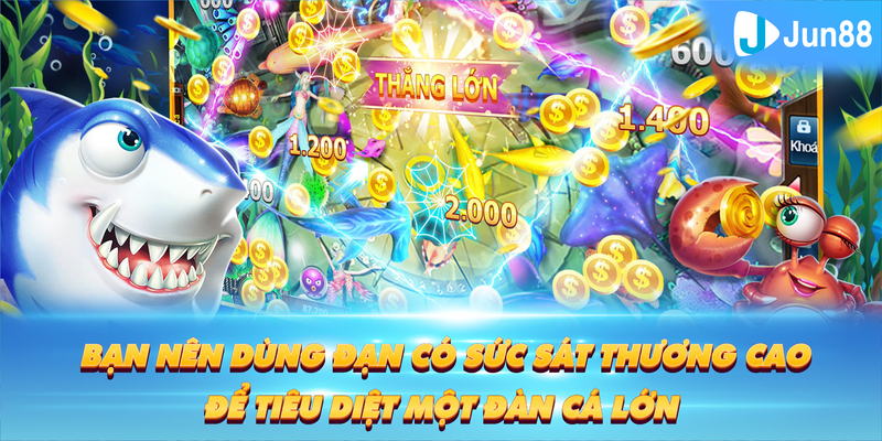 hello888 Tung Đồng Xu