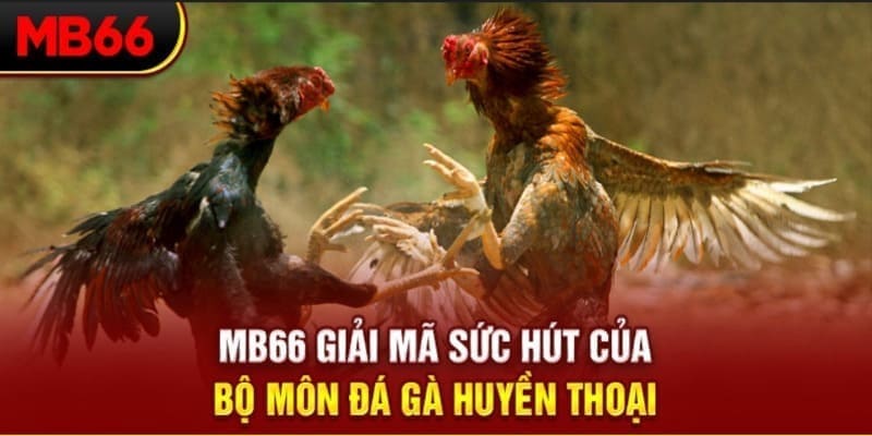 hello888 Phi Đội Ưu Tú