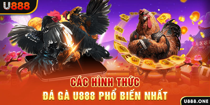 hello888 DB Trực Tuyến