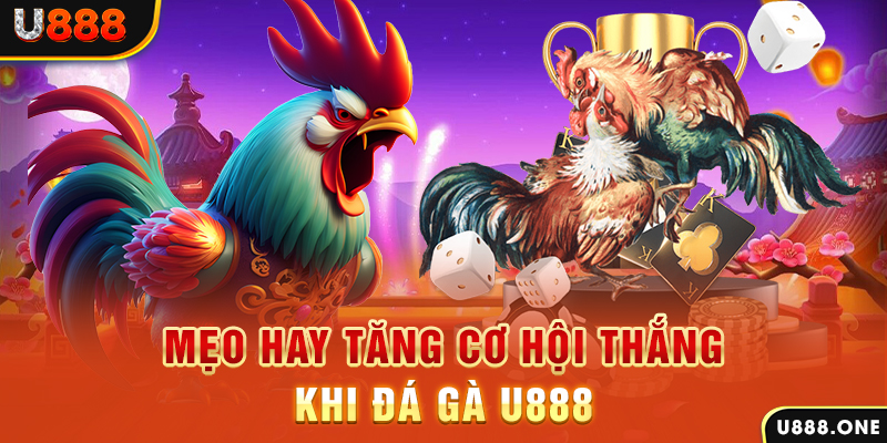 hello888 trực tiếp gà chọi c1