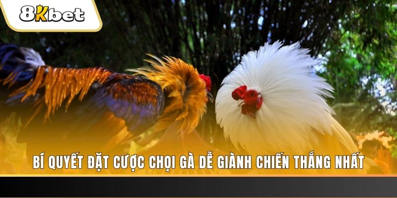 hello888 Tài Xỉu 2