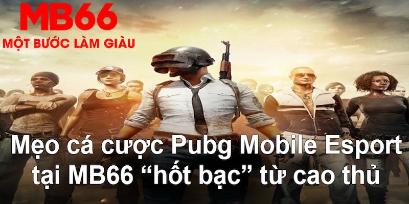 hello888 gà chọi mộc hóa