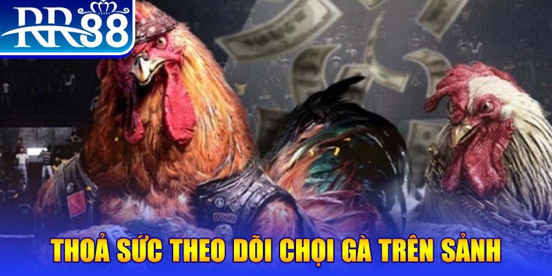 hello888 đá gà 88.com